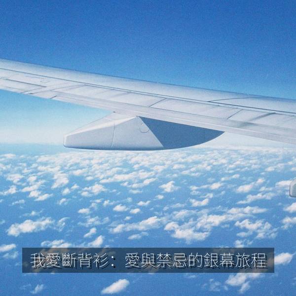 我愛斷背衫：愛與禁忌的銀幕旅程海报